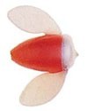 Спиннербэйты фирмы yakima bait. Расцветка PLSP